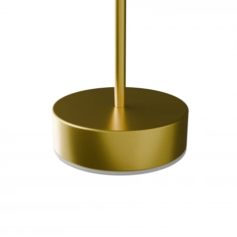 Подвесной светильник с гибким неоном Lightera Taylor LE242L-1G