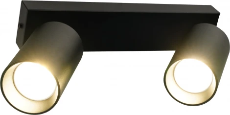 Потолочный светильник спот Brizzi Aras BR08085