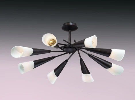 Потолочная люстра Odeon Light Evans 2464/8C