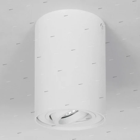 Потолочный светильник круглый Lightstar Binoco 052016 (220V)