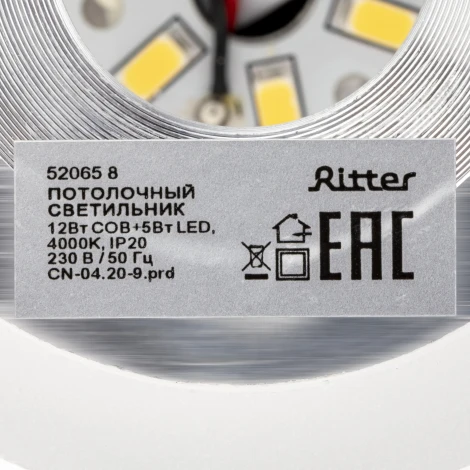 Накладной светильник Ritter Kassel 52065 8