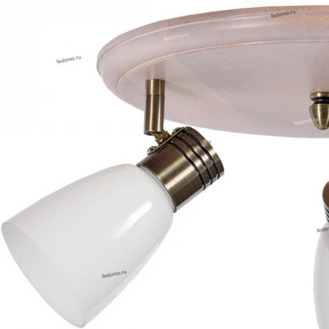 Спот Дубравия Анри 150-11-13