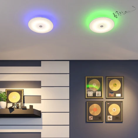 Потолочный светильник Sonex Roki Muzcolor 4629/CL