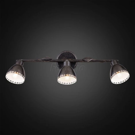 Спот Citilux Робуста CL509532