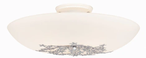 Настенно-потолочный светильник Silver Light Verbena 836.50.5