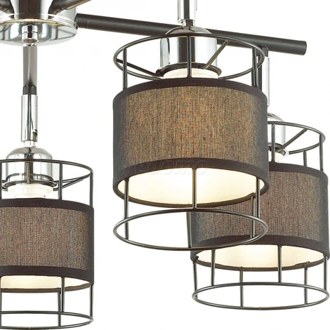 Потолочная люстра Lumion Kayden 3664/5C
