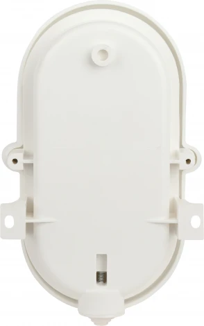 Настенно-потолочный светильник ЭРА НБП 01-60-012 (220V, IP53)