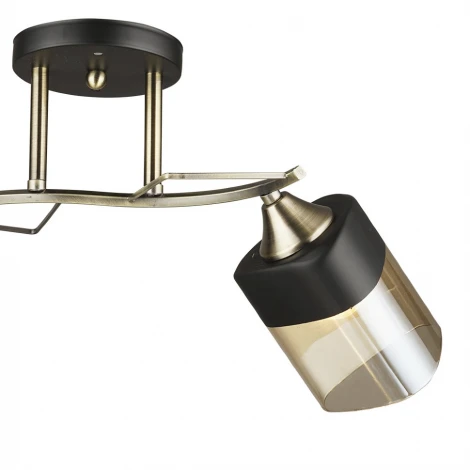 Потолочная люстра Wedo Light Laives 66248.01.37.02