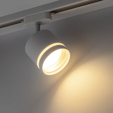 Трековый светильник однофазный 220V Ritter Artline 59865 1