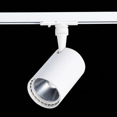 Трековый светильник ST Luce Cami ST351.546.15.24 (LED, 220V, круглые, IP22)