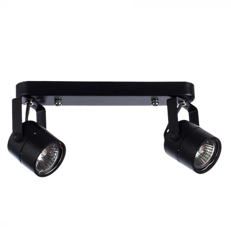 Спот Arte Lamp Mizar A1311PL-2BK (220V)