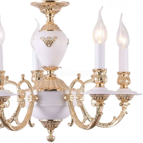 Подвесная люстра Arte Lamp Luisa A8020LM-5WG