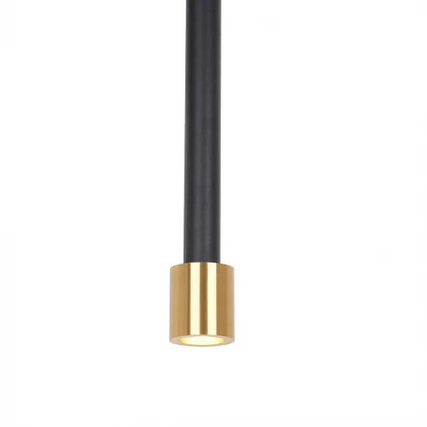 Подвесной светильник Lumien Hall Salerno LH4098/1P-SBK-GD