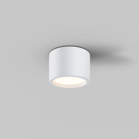 Накладной потолочный светильник Maytoni Hydra C090CL-10W3K-W (LED, 220V, круглые, IP44)
