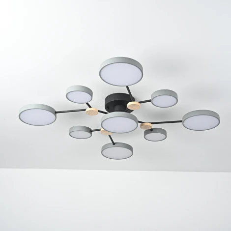 Потолочная люстра с пультом на штанге LED Lu Carte LC-11-1718