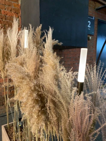 Наземный уличный светильник Камыш LD-RD002