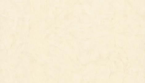 Обои виниловые Zambaiti Trussardi VI 46046 10,05 х 1,06 м