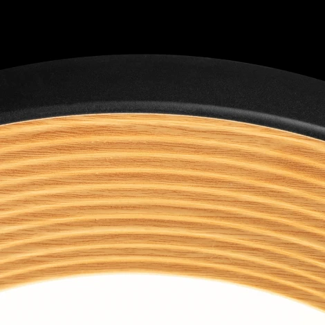 Потолочный светильник круглый Loft It Folk 10255/500 Black (LED, 220V, круглые)