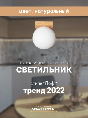 Потолочный светильник прямоугольный Мелодия Света SS1N 000036819