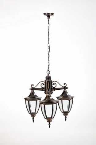 Уличный светильник подвесной Oasis Light Coventry 91570/3