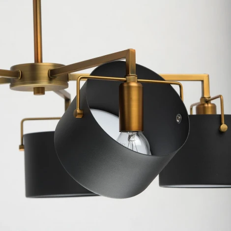 Потолочная люстра MW-Light Сайрус 721010205