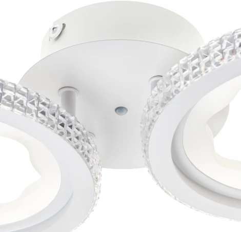 Потолочная люстра светодиодная с ДУ Ritter Lucido 51643 3