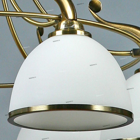 Brizzi Almeria MA02401CA/006 Bronze