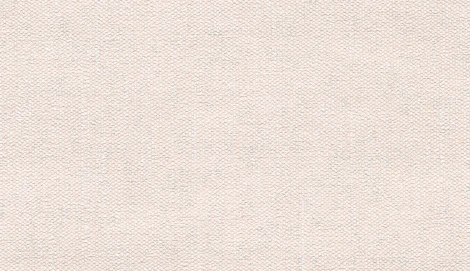 Обои виниловые Marburg Project 31807 10,05 x 0,53 м