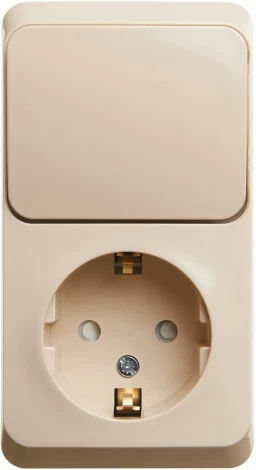 Розетка накладная с заземлением с одноклавишным выключателем (кремовый) Systeme Electric BPA16-201K