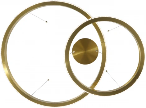 Подвесной светильник Zortes Lidia ZRS.30111.63 (LED, 220V, пульт управления, на тросе)