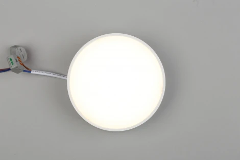 Потолочный светильник круглый Aployt Evon APL.0113.09.12 (LED, 220V, круглые)