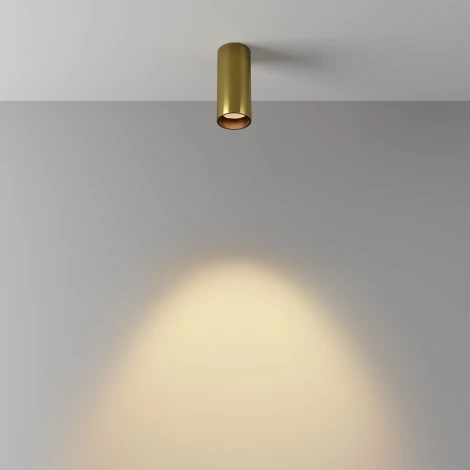 Потолочный светильник накладной Maytoni Focus Led C056CL-L12W2.7K-W-BS (220V, круглые)