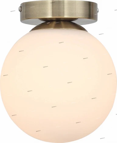 Настенно-потолочный светильник ST Luce Acini SL717.301.01