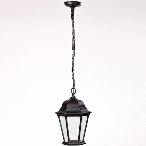 Уличный светильник подвесной Oasis Light 91405L Bl (220V, на цепи, IP44)