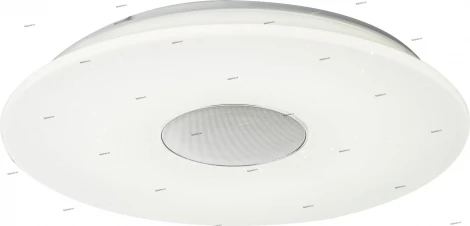Globo Nicole 41329