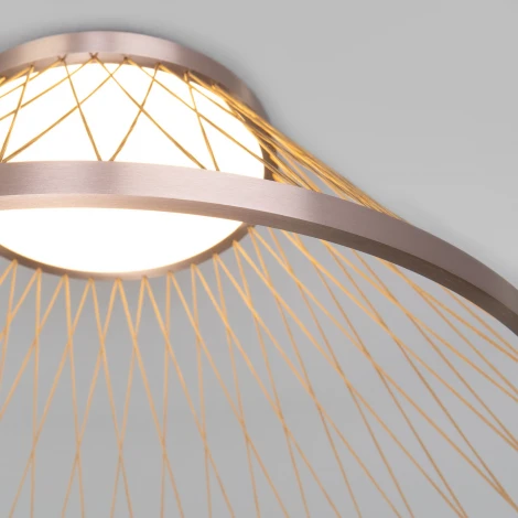 Потолочный светильник круглый Eurosvet Cesta 40019/1 LED коричневый (220V, круглые)