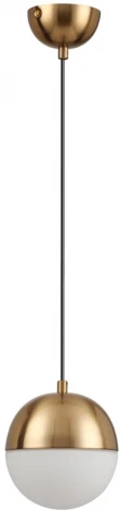 Подвесной светильник Odeon Light Pinga 4960/1 (220V, на проводе, шар)