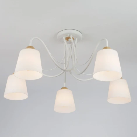 Потолочная люстра Eurosvet Betty 70062/5 белый (220V)
