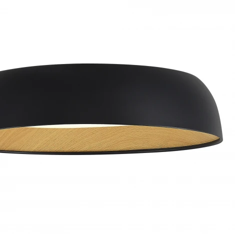 Потолочный светильник Evoluce Muse SLE1812-402-01 Черный, древесный/белая LED 1*36W 4000K