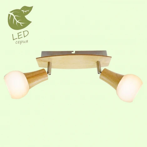 Спот Lussole Lgo Chandler GRLSP-0120
