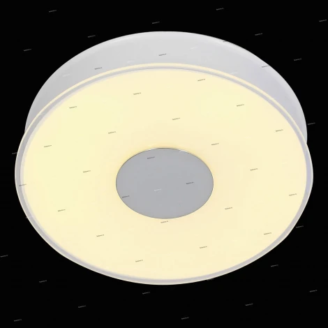 Потолочный светильник ST Luce Semplicita SL473.052.01