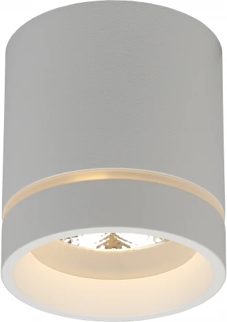 Накладной точечный светильник Aployt Gita APL.0043.09.05 (LED, 220V, круглые)