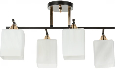 Потолочная люстра Arte Lamp Merope A4071PL-4BK