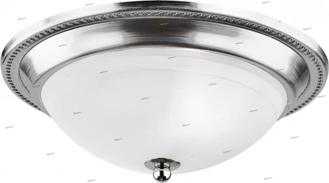 Потолочный светильник Arte Lamp Alta A3011PL-2SS