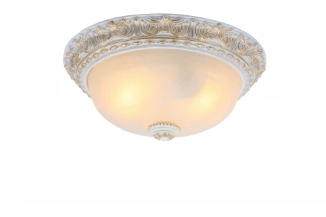 Потолочный светильник Arte Lamp Torta A7121PL-2WG