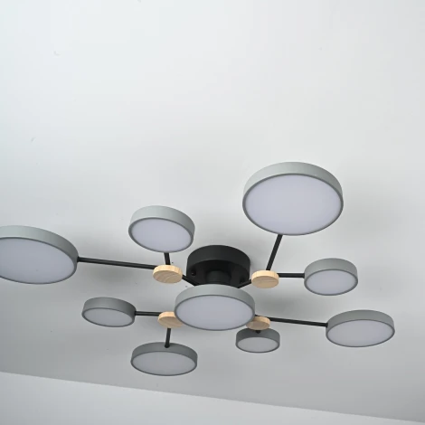 Потолочная люстра с пультом на штанге LED Lu Carte LC-11-1718