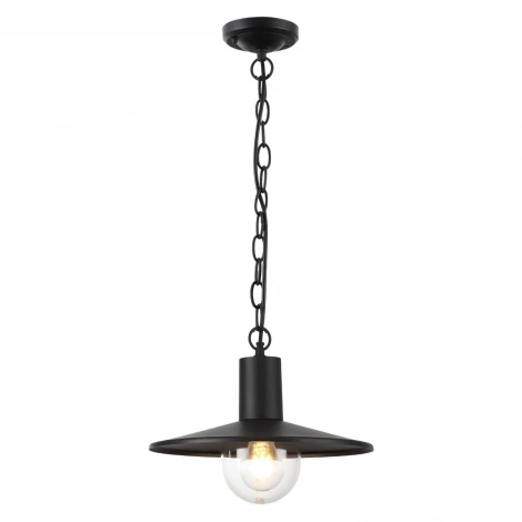 Уличный светильник подвесной Odeon Light Furcadia 4833/1 (220V, на цепи, круглые, IP44)