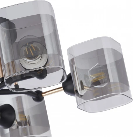 Потолочная люстра на штанге Arte Milano AMALFI 324308/5 BK+FG (220V)
