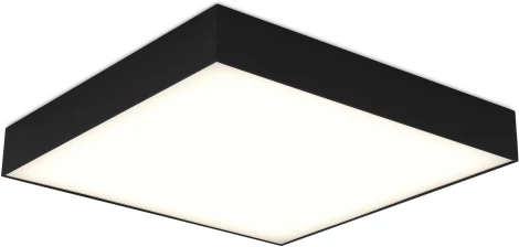Потолочный светильник светодиодный ST Luce ST608.442.48 Черный LED 1*48W (220V)