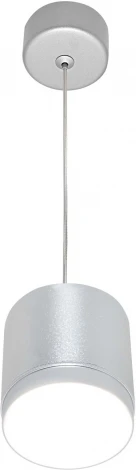 Подвесной светильник Maytoni Polar P088PL-GX53-S GX53 1x15W (220V, на проводе, круглые)